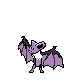 Noctula