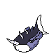 Rhinocarpe