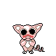 Cochini