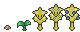Maracuya