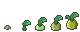 Tuber