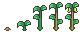 Yellow pepper